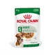 Royal Canin