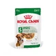 ROYAL CANIN Mini Adult, Nassfutter für Hunde, (in Sauce), 85g
