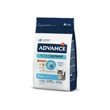 ADVANCE Kitten, Chicken, dry food for junior cats, 1.5kg