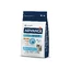ADVANCE Kitten, Chicken, dry food for junior cats, 1.5kg