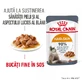 ROYAL CANIN Hair & Skin Care Adult, comida húmeda para gatos, piel y pelo, (en salsa), 85g