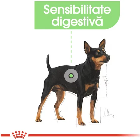 ROYAL CANIN Mini Digestive Care, Trockenfutter für Hunde, Verdauungskomfort, 3kg