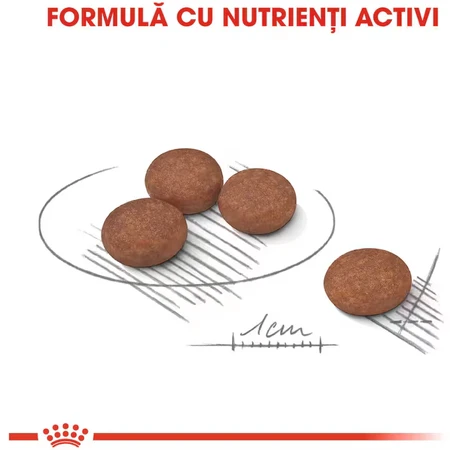 ROYAL CANIN Mini Digestive Care, Trockenfutter für Hunde, Verdauungskomfort, 3kg