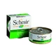 Schesir