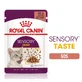 ROYAL CANIN Sensory Taste Sensory Taste Stimulerend kattenvoer (in saus), 85g