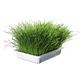 Trixie, Kunststoffschale mit Grassamen, 100g