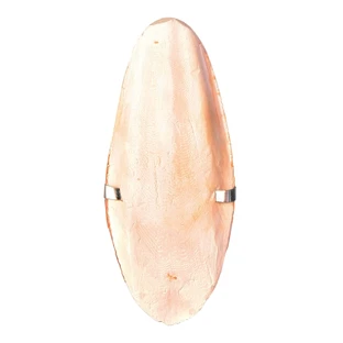 Sepie Bones on Blister 12cm