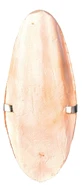 Sepie Bones on Blister 12cm