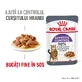 ROYAL CANIN Appetite Control Care Adult nat kattenvoer appetite control (in saus), 85g