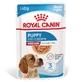 ROYAL CANIN Medium Puppy, comida húmeda perros junior, (en salsa), 140g