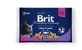 BRIT Premium Multipack Fischplatte, 2 Geschmacksrichtungen, Mischpackung, Beutel Katzennassfutter, (in Sauce), 100g x 4