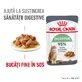 ROYAL CANIN Digest Sensitive Care Adult, wet cat food, digestive comfort, (in sauce), 85g