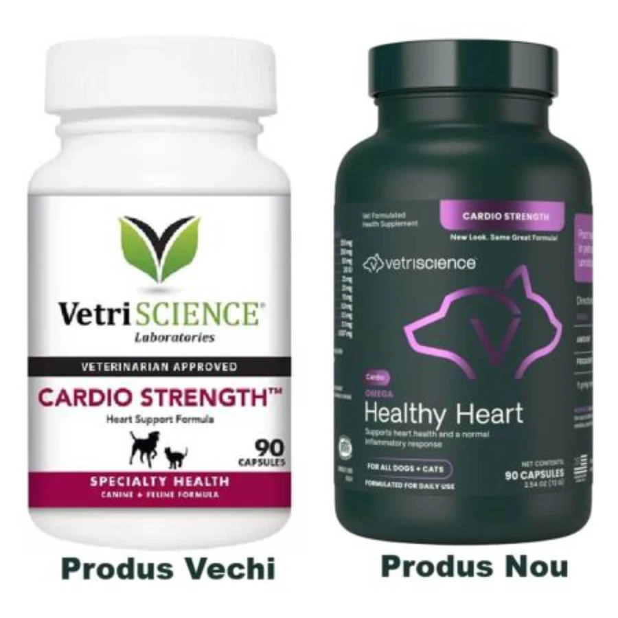 VETRISCIENCE Omega Healthy Heart, XS-XL, Herz-Kreislauf-System Ergänzung für Hunde, Flasche, 90 Kapseln