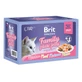 BRIT Premium by Nature Delicate Family Plate, Vlees, blik vochtig kattenvoer, (in aspic), multipack, 85g x 12st