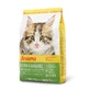 JOSERA Kitten Grainfree, Lachs, getreidefreies Trockenfutter für junge Katzen, 2kg