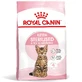 ROYAL CANIN Kitten Sterilized, dry food for junior sterilized cats, 400g