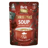 BRIT Kerstsoep, Vis, zakje nat graanvrij kattenvoer, (topping), 75g
