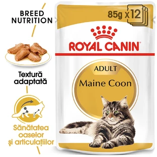 ROYAL CANIN Maine Coon Adult, nat kattenvoer, (in saus), bax, 85g x 12st