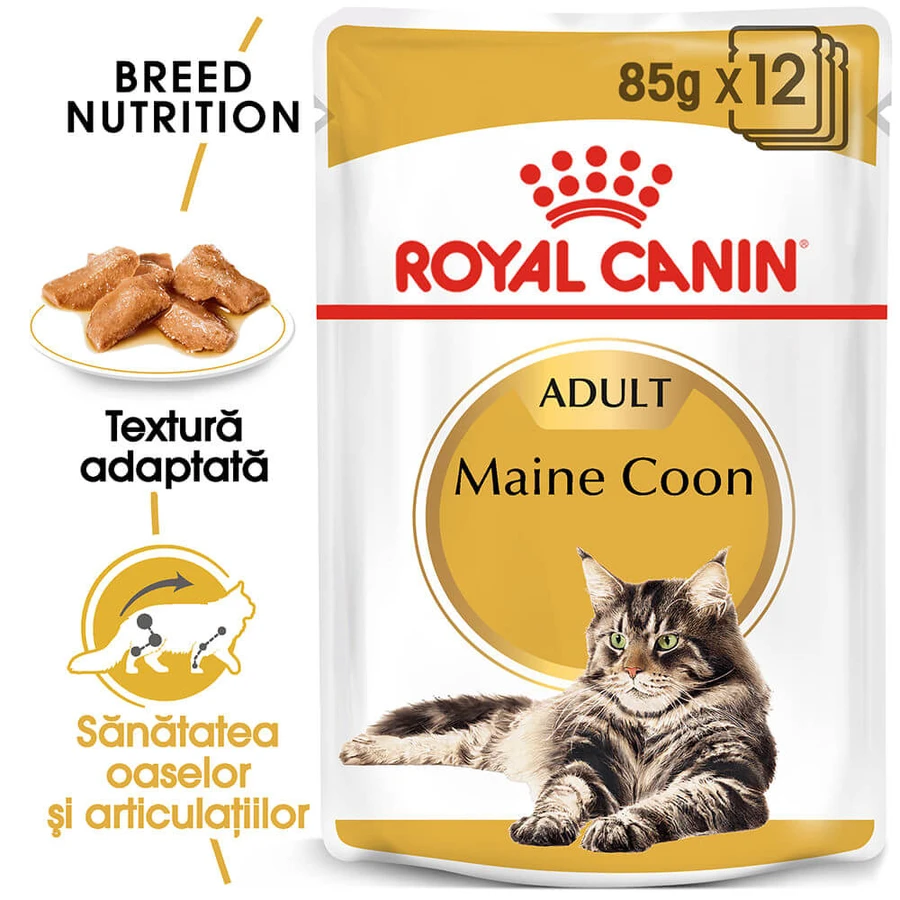 ROYAL CANIN Maine Coon Adult, nat kattenvoer, (in saus), bax, 85g x 12st