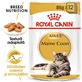 ROYAL CANIN Maine Coon Adult, nat kattenvoer, (in saus), bax, 85g x 12st