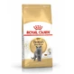 ROYAL CANIN British Shorthair Adult, comida seca para gatos, 400g