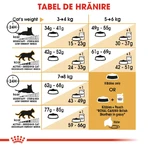 ROYAL CANIN British Shorthair Adult, comida seca para gatos, 400g
