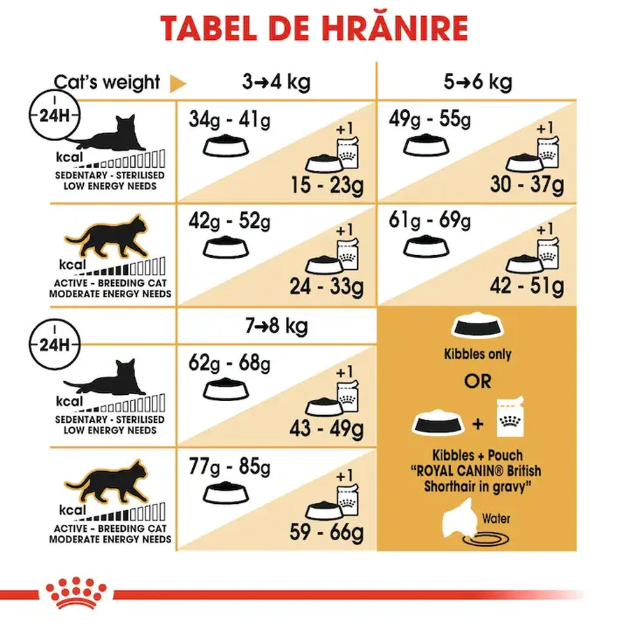 ROYAL CANIN British Shorthair Adult, comida seca para gatos, 400g