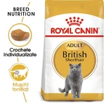 ROYAL CANIN British Shorthair Adult, comida seca para gatos, 400g