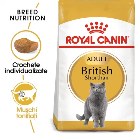 ROYAL CANIN British Shorthair Adult, comida seca para gatos, 400g