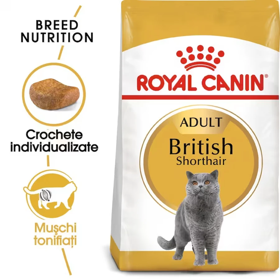 ROYAL CANIN British Shorthair Adult, comida seca para gatos, 400g