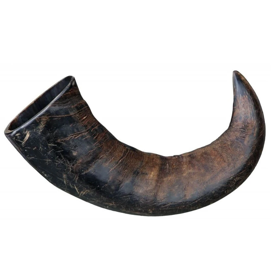 Maíz natural Big Buffalo