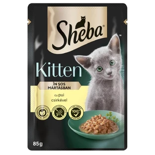 SHEBA Kitten, Kip, zakje natvoer voor jonge katten, (in saus), 85g
