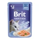 BRIT Premium by Nature Delicate File, Salmon, sachet wet cat food, (in aspic), 85g