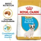 ROYAL CANIN Bulldog Francés Cachorro, alimento seco para perros jóvenes, 3kg