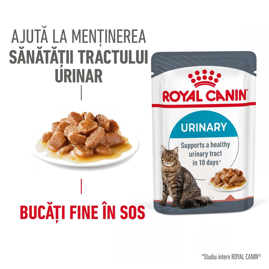ROYAL CANIN Urinary Care Adult, Nassfutter für Katzen, Gesundheit der Harnwege, (in Sauce), 85g