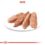 ROYAL CANIN ROYAL CANIN Exigent Adult Nassfutter für Hunde mit schlechtem Appetit (Pastete), 85g