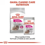 ROYAL CANIN ROYAL CANIN Exigent Adult Nassfutter für Hunde mit schlechtem Appetit (Pastete), 85g