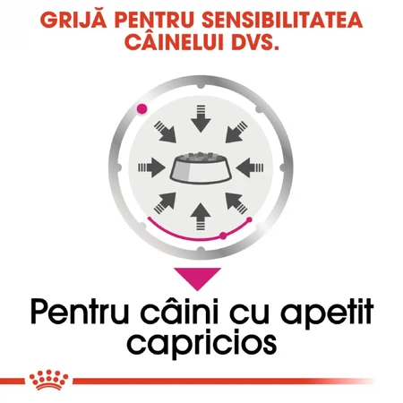 ROYAL CANIN ROYAL CANIN Exigent Adult Nassfutter für Hunde mit schlechtem Appetit (Pastete), 85g