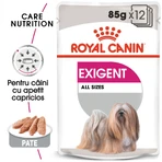 ROYAL CANIN ROYAL CANIN Exigent Adult Nassfutter für Hunde mit schlechtem Appetit (Pastete), 85g