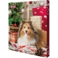 TRIXIE Calendario de Adviento de Navidad, XS-XL, caja de premios para perros, 390g