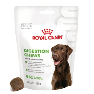 ROYAL CANIN Digestion Chews Adult Supplements, sachet récompense fonctionnel pour chiens, système digestif, 160g