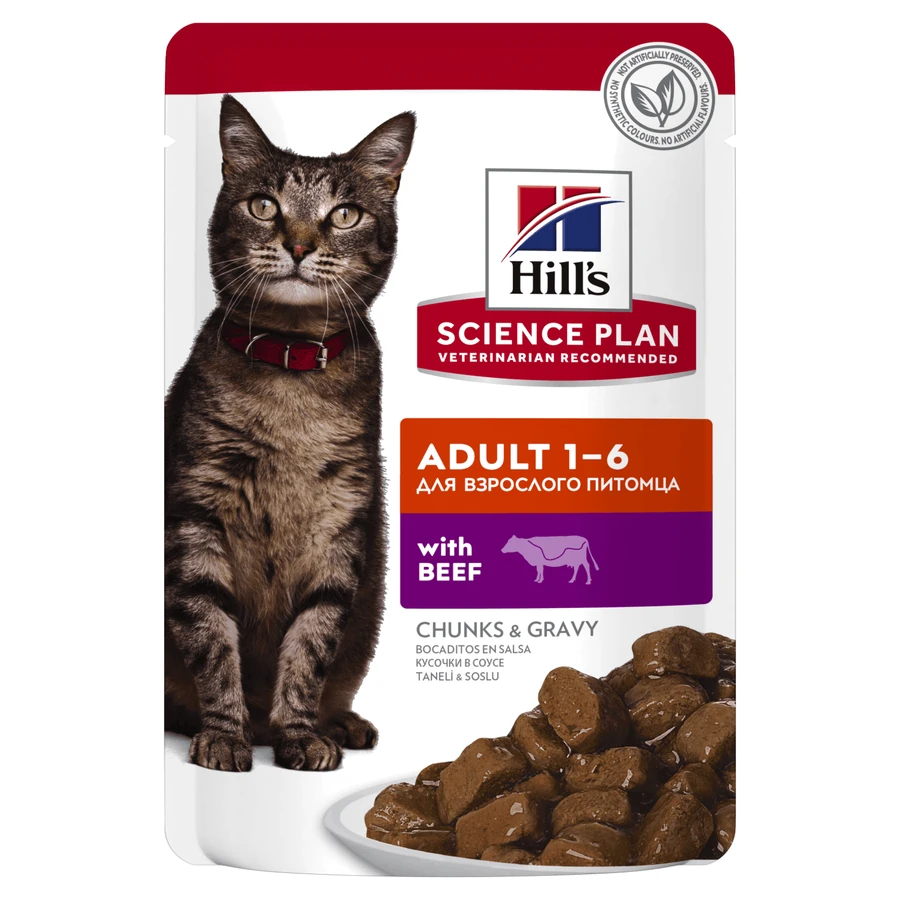 HILL'S SCIENCE PLAN, Rundvlees, zakje nat kattenvoer, (in saus), 85g