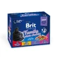 BRIT Premium Multipack Family Plate, 4 flavors, mixed pack, sachet wet cat food, (in sauce), 100g x 12
