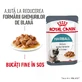 ROYAL CANIN Hairball Care Adult, vochtig kattenvoer, haarbal controle, (in saus), 85g