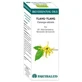 Equisalud Bio Essential Oils Ylang-Ylang Ac. Essential 10Ml