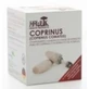 Hawlik Coprinus Pure Extract 60Vcaps