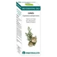 Equisalud Bio Essential Oils Cypress Essential Oil 10Ml