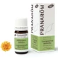 Pranarom Oils Yellow Immortelle Essential Oil Bio 5Ml