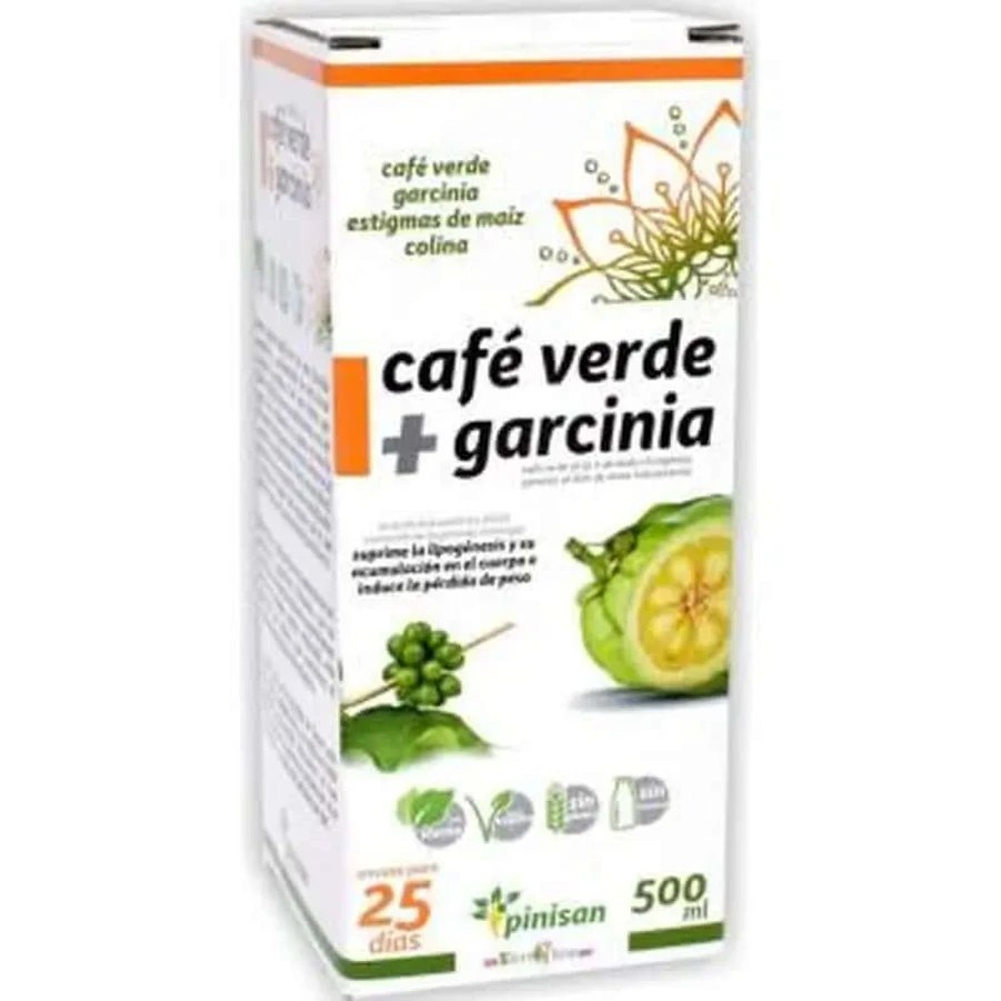 Pinisan Green Coffee With Garcinia 500Ml