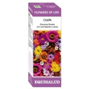 Equisalud Blume des Lebens Schuld 15Ml